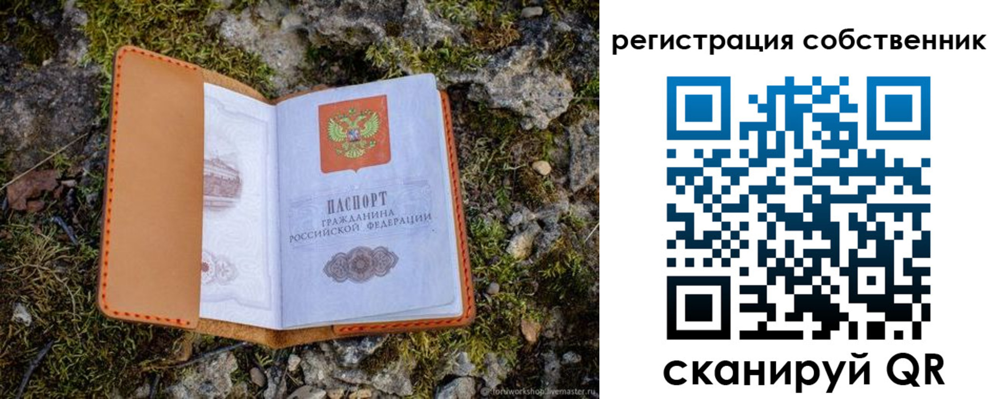 прописка поиск в Чкаловске